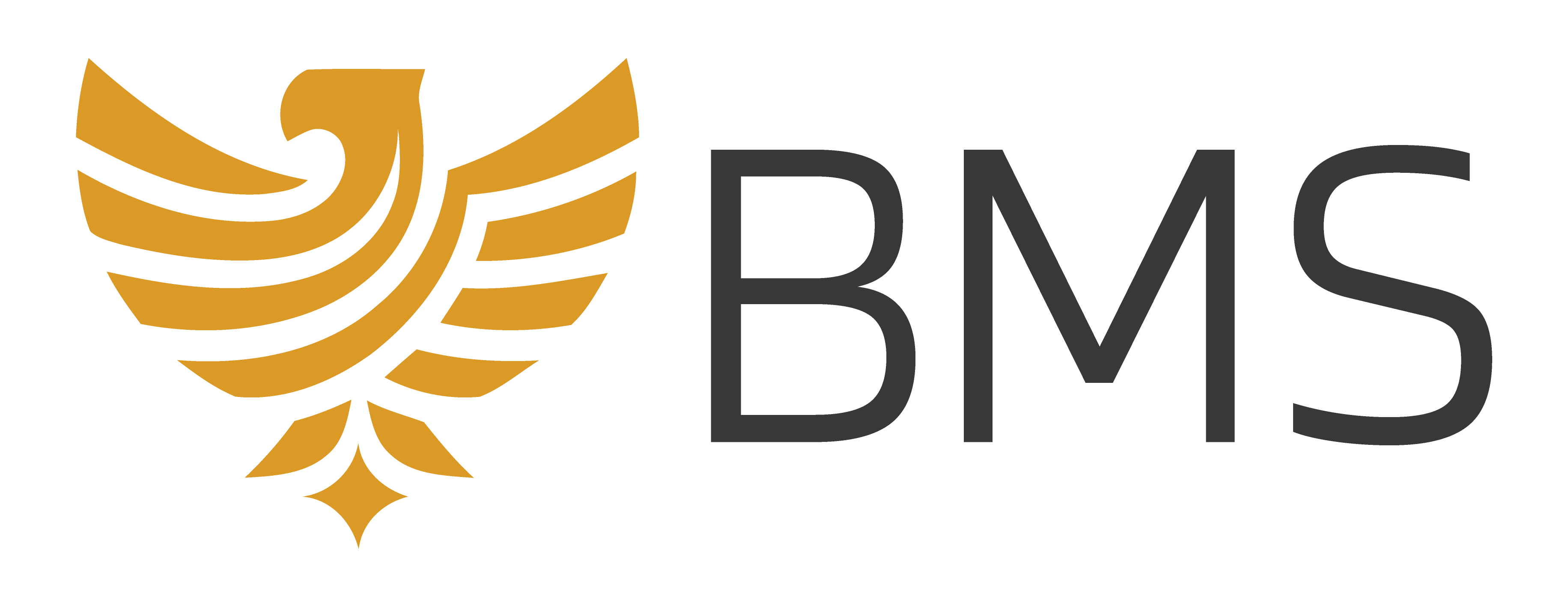 BMS SCD S.A.